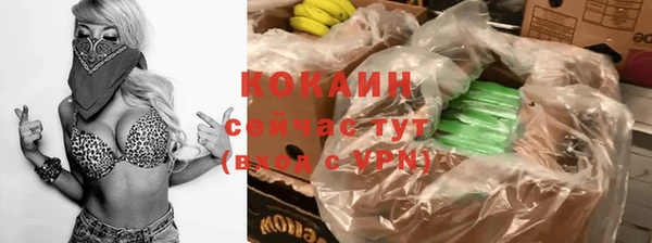 гидра Теберда