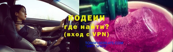 прущие грибы Верея