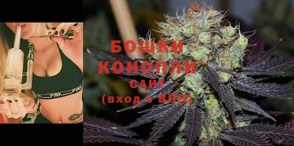 крисы Нея