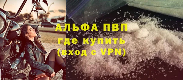 твердый Новодвинск