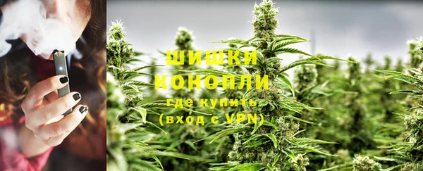 spice Новозыбков