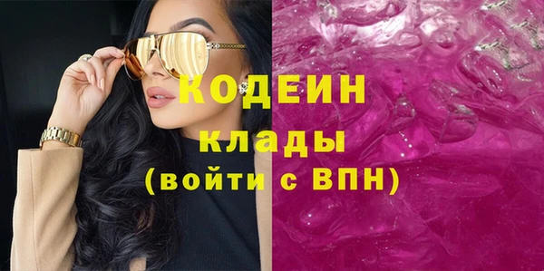 твердый Новодвинск