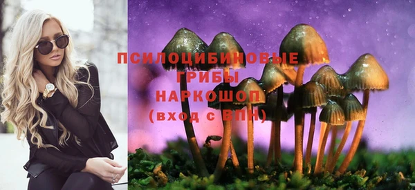 крисы Нея