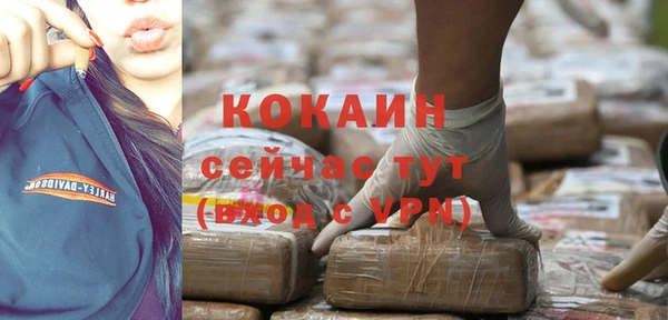 spice Новозыбков