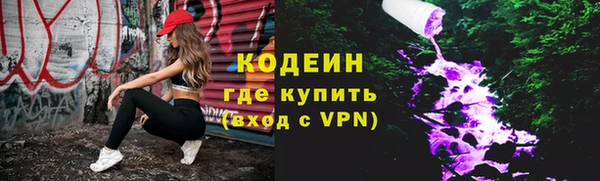 твердый Новодвинск