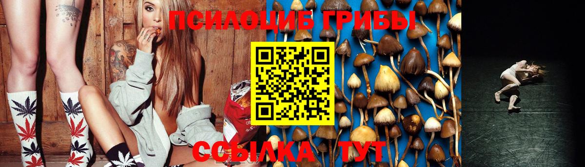 Псилоцибиновые грибы Psilocybine cubensis  Североморск  Псилоцибиновые грибы GOLDEN TEACHER 