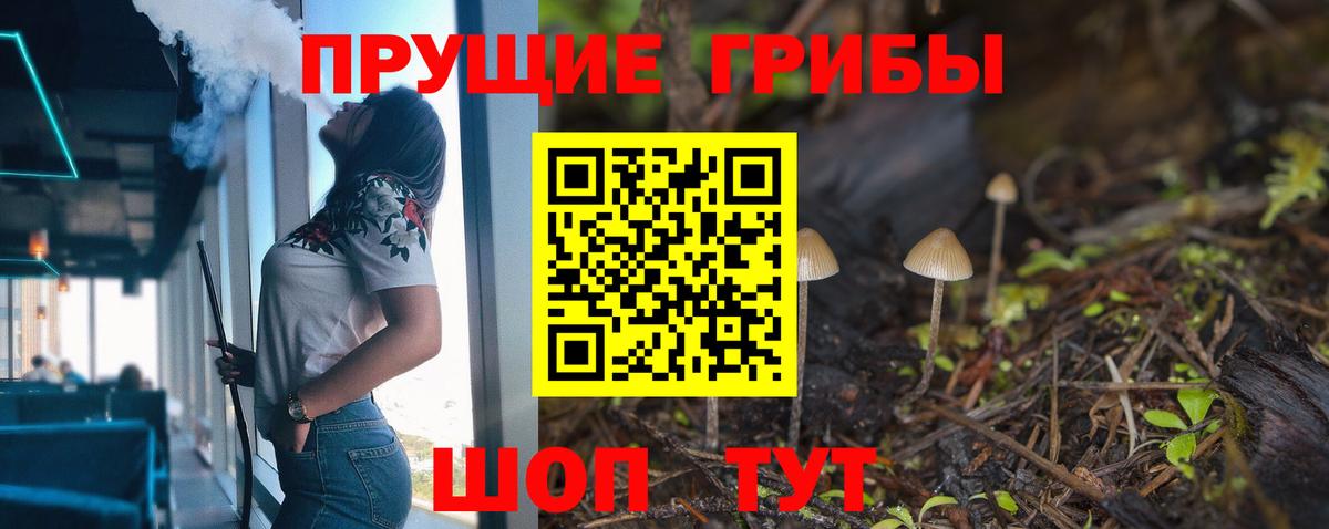 Псилоцибиновые грибы мухоморы  где можно купить   Вход с VPN  Североморск  Галлюциногенные грибы MAGIC MUSHROOMS 